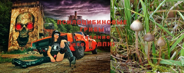 ALPHA-PVP Алзамай