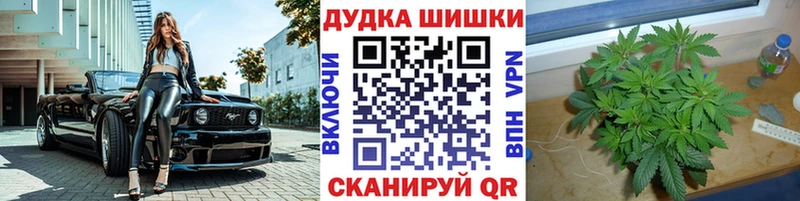 Конопля SATIVA & INDICA Нюрба